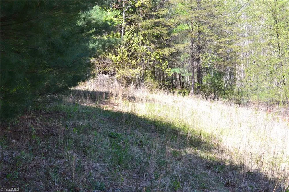 00 Swaringen Road Traphill, NC 28685