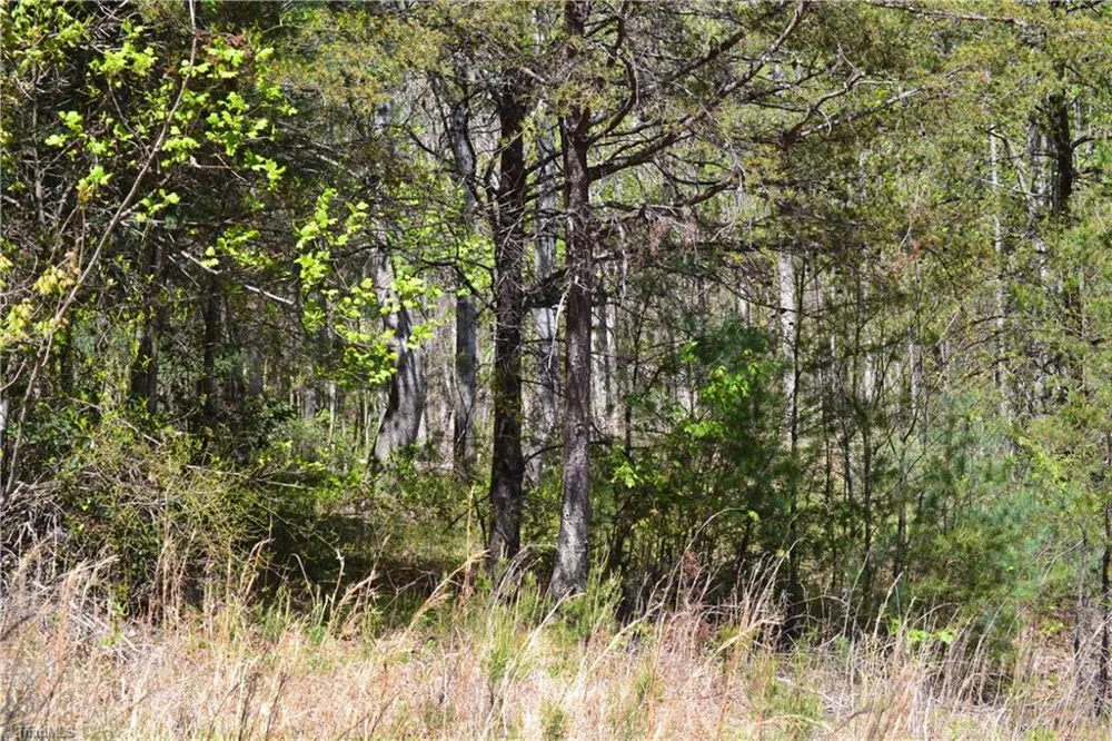00 Swaringen Road Traphill, NC 28685