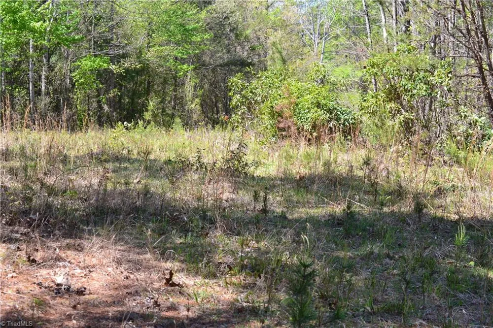 00 Swaringen Road Traphill, NC 28685