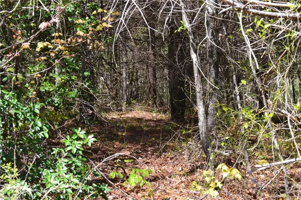 00 Swaringen Road Traphill, NC 28685