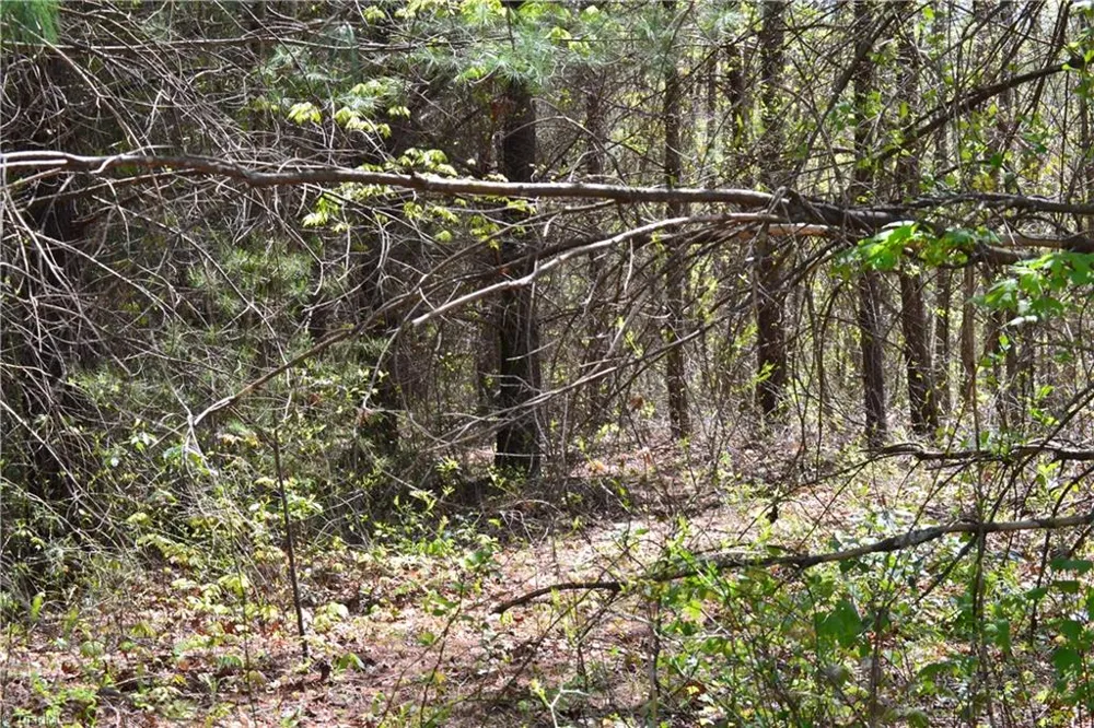 00 Swaringen Road Traphill, NC 28685
