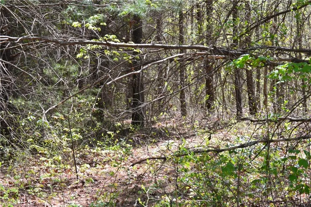 00 Swaringen Road Traphill, NC 28685
