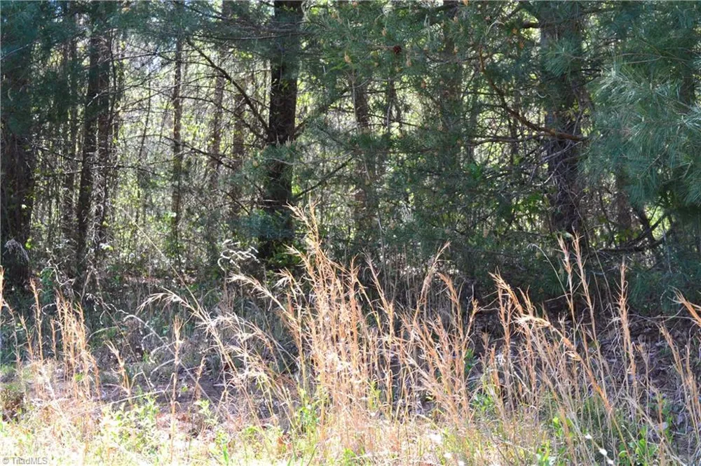 00 Swaringen Road Traphill, NC 28685