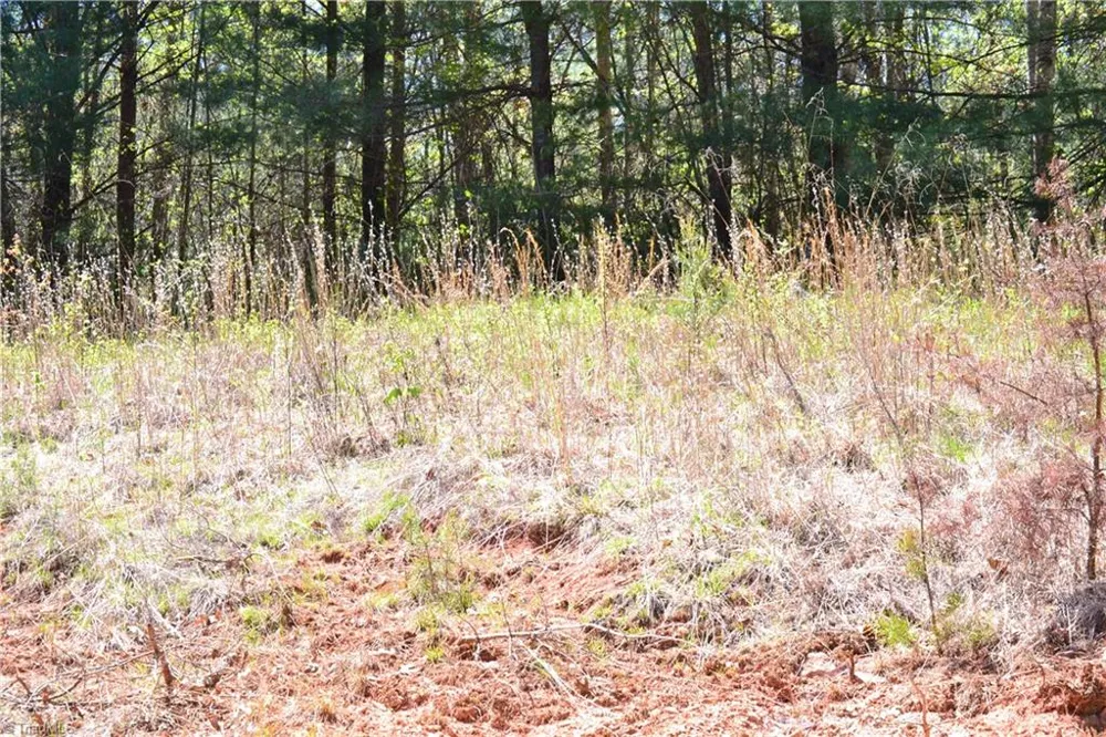00 Swaringen Road Traphill, NC 28685