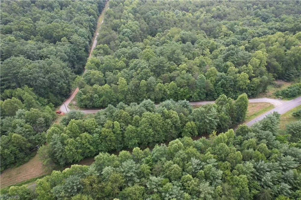 00 Swaringen Road Traphill, NC 28685
