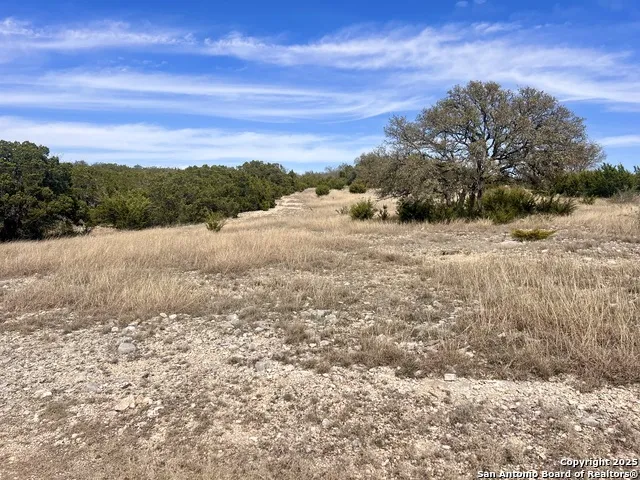 LOT 150 Cattlemans Crossing Kerrville, TX 78028