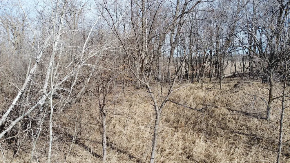 T134-R37 SEC.30    /  HWY 67 HWY 67 Henning, MN 56551
