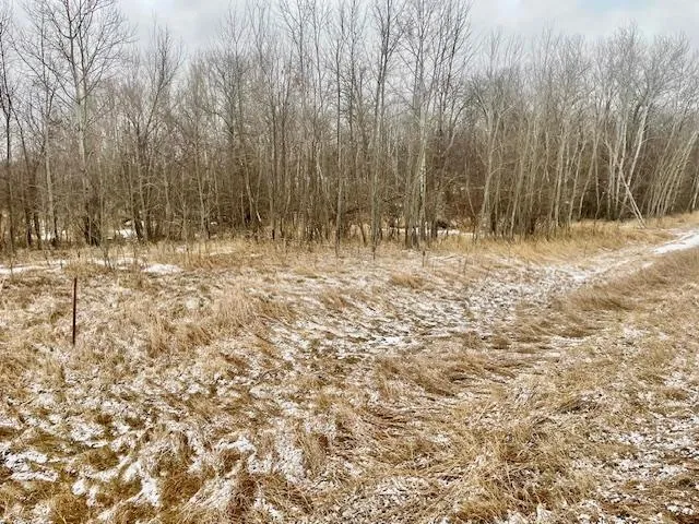 T134-R37 SEC.30    /  HWY 67 HWY 67 Henning, MN 56551