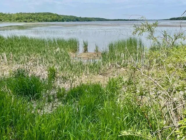 T134-R37 SEC.30    /  HWY 67 HWY 67 Henning, MN 56551