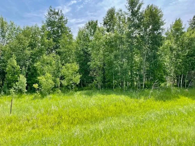 T134-R37 SEC.30    /  HWY 67 HWY 67 Henning, MN 56551