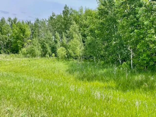T134-R37 SEC.30    /  HWY 67 HWY 67 Henning, MN 56551