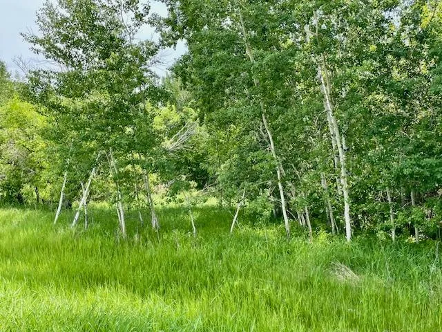 T134-R37 SEC.30    /  HWY 67 HWY 67 Henning, MN 56551