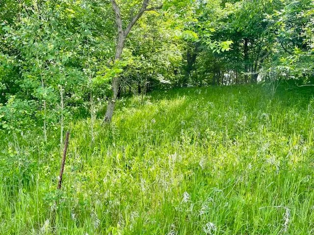 T134-R37 SEC.30    /  HWY 67 HWY 67 Henning, MN 56551