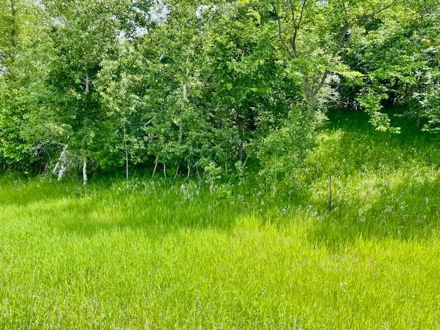 T134-R37 SEC.30    /  HWY 67 HWY 67 Henning, MN 56551