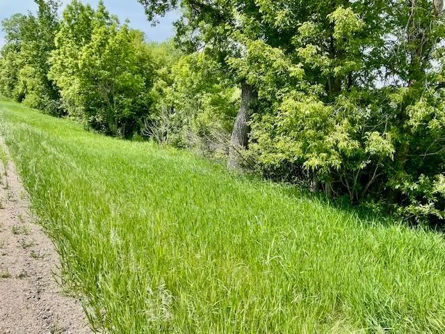 T134-R37 SEC.30    /  HWY 67 HWY 67 Henning, MN 56551