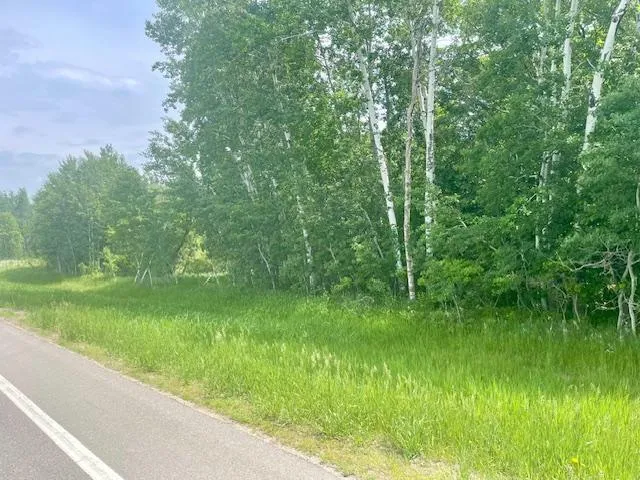 T134-R37 SEC.30    /  HWY 67 HWY 67 Henning, MN 56551
