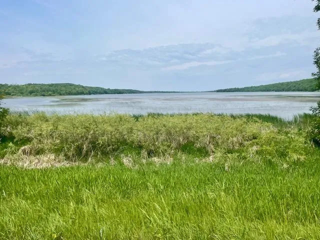 T134-R37 SEC.30    /  HWY 67 HWY 67 Henning, MN 56551