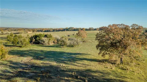 Dannheim Road CountyRoad