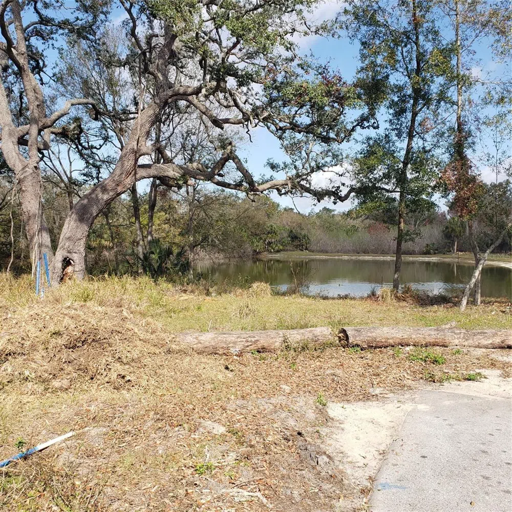 VIRGINIA AVENUE Tarpon Springs, FL 34689