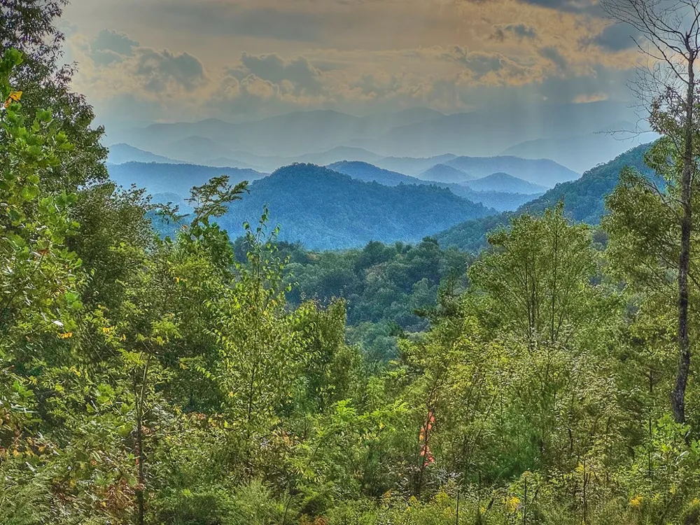 Legacy Lane Robbinsville, NC 28771