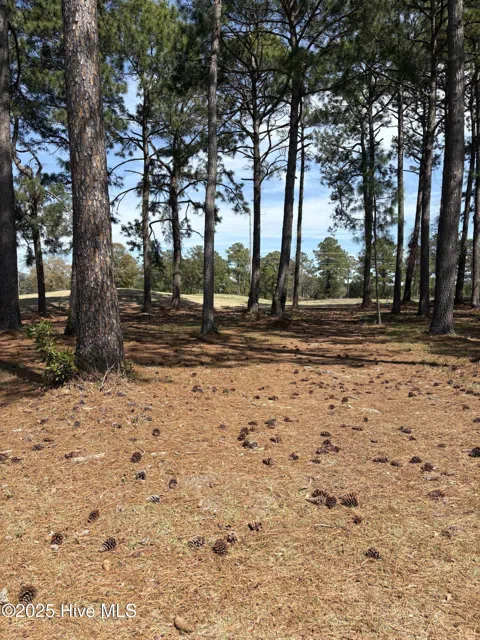 591 Lot 33 Eastwood Park Road