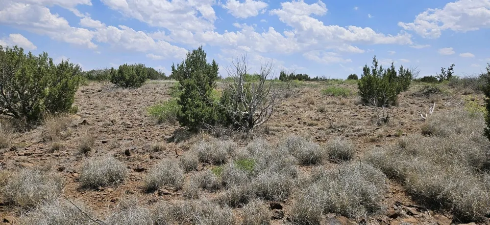 Dark Sky Ln Alpine, TX 79832