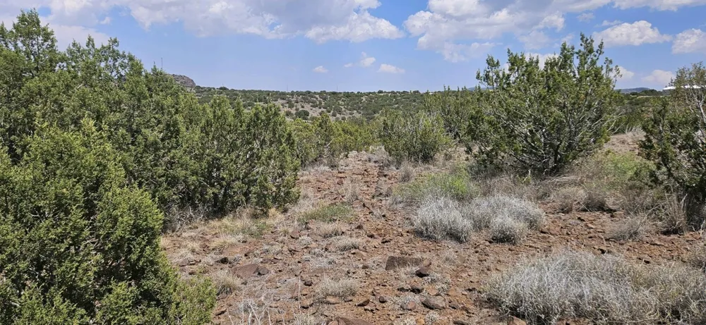 Dark Sky Ln Alpine, TX 79832