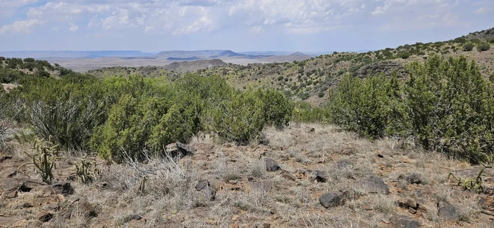 Dark Sky Ln Alpine, TX 79832