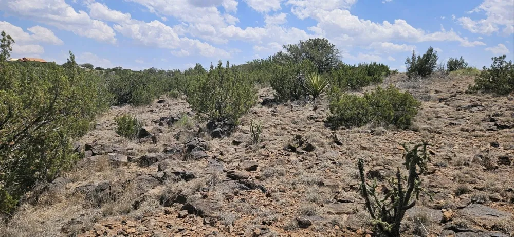 Dark Sky Ln Alpine, TX 79832
