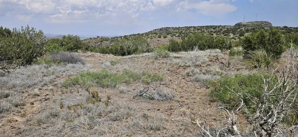 Dark Sky Ln Alpine, TX 79832