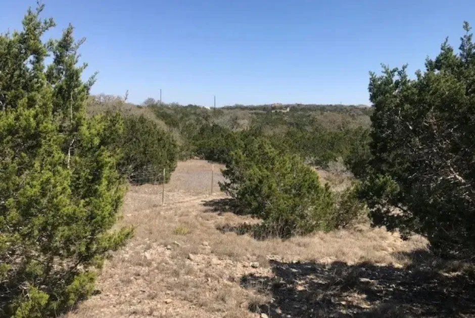 517 Left Fork Place Spring Branch, TX 78070