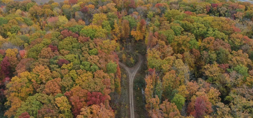Meadowood Lane #Lot 2 Lakeside, MI 49116