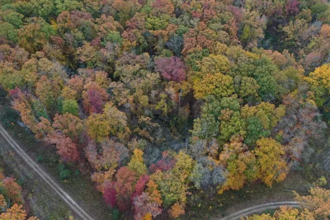 Meadowood Lane #Lot 2