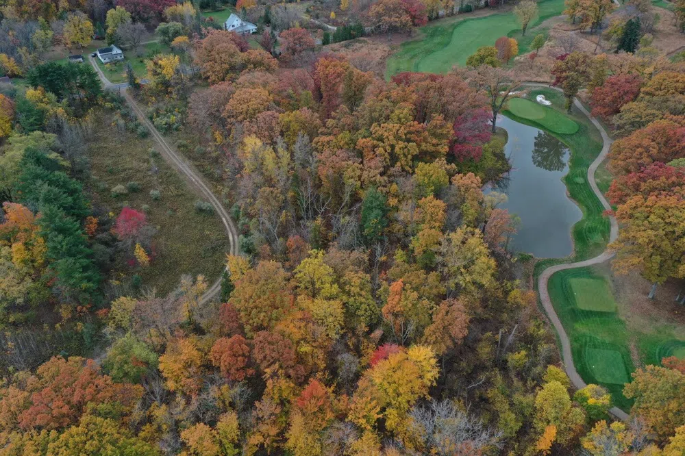 Meadowood Lane #Lot 2 Lakeside, MI 49116