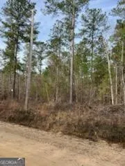 0 Busby RD Statesboro, GA 30461