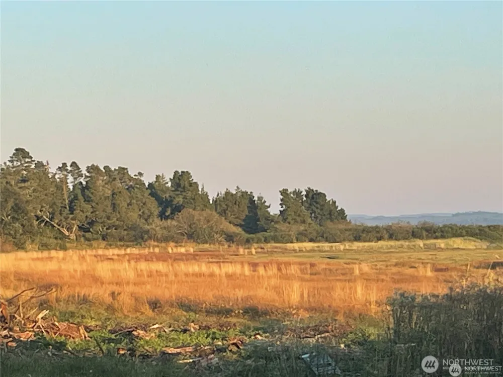 2680 -B Sunset Lane Tokeland, WA 98590