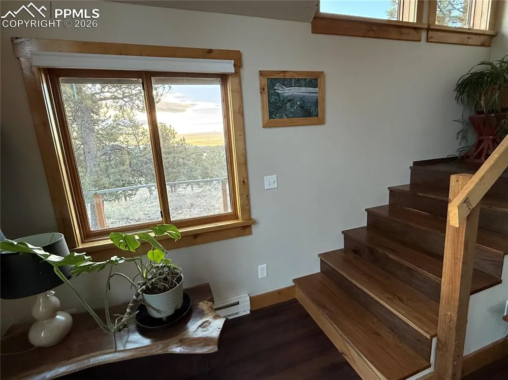 254 E Cobb Lane Guffey, CO 80820