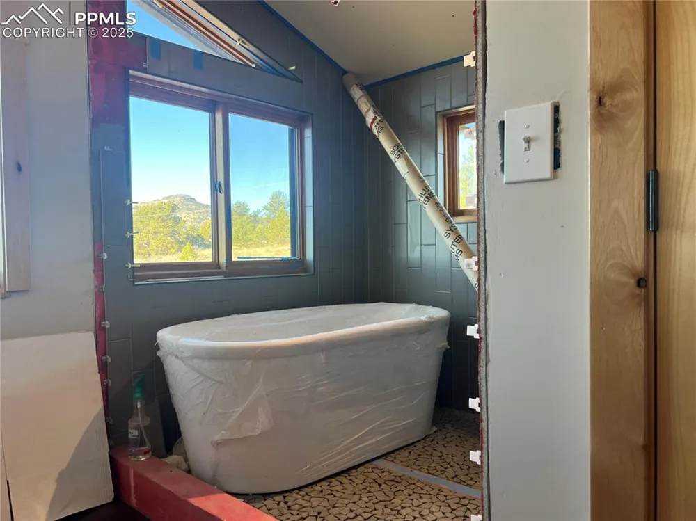 254 E Cobb Lane Guffey, CO 80820