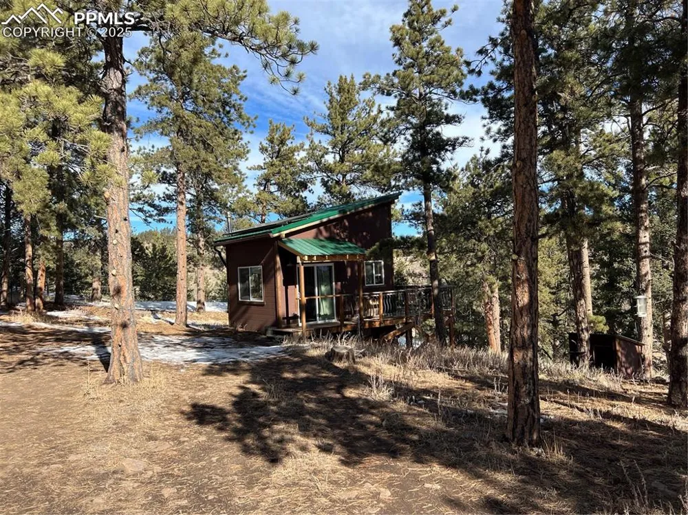 254 E Cobb Lane Guffey, CO 80820