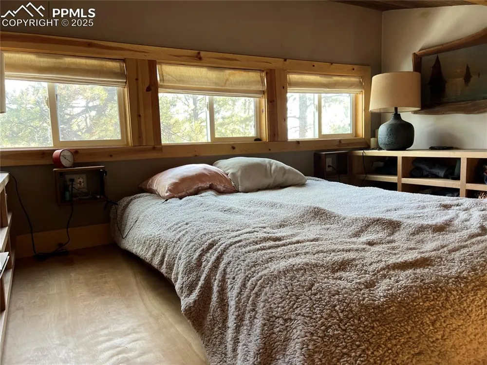 254 E Cobb Lane Guffey, CO 80820