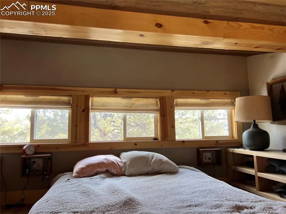 254 E Cobb Lane Guffey, CO 80820