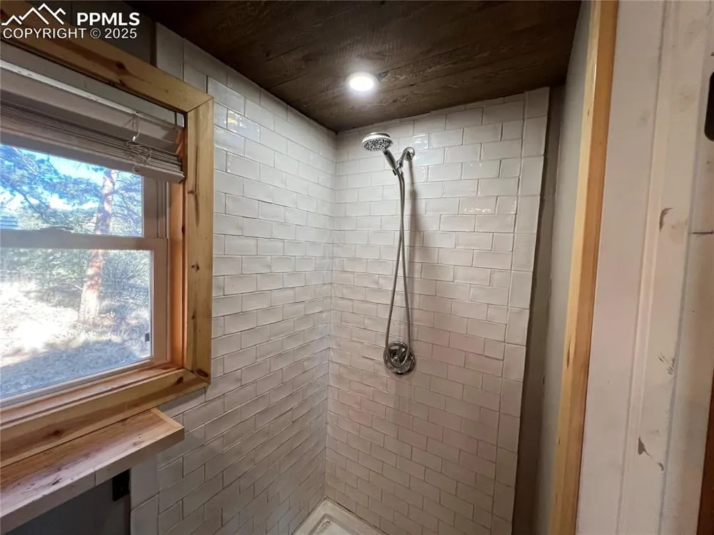 254 E Cobb Lane Guffey, CO 80820