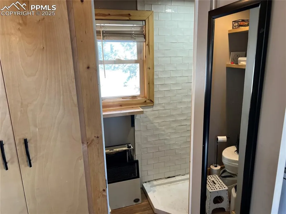 254 E Cobb Lane Guffey, CO 80820