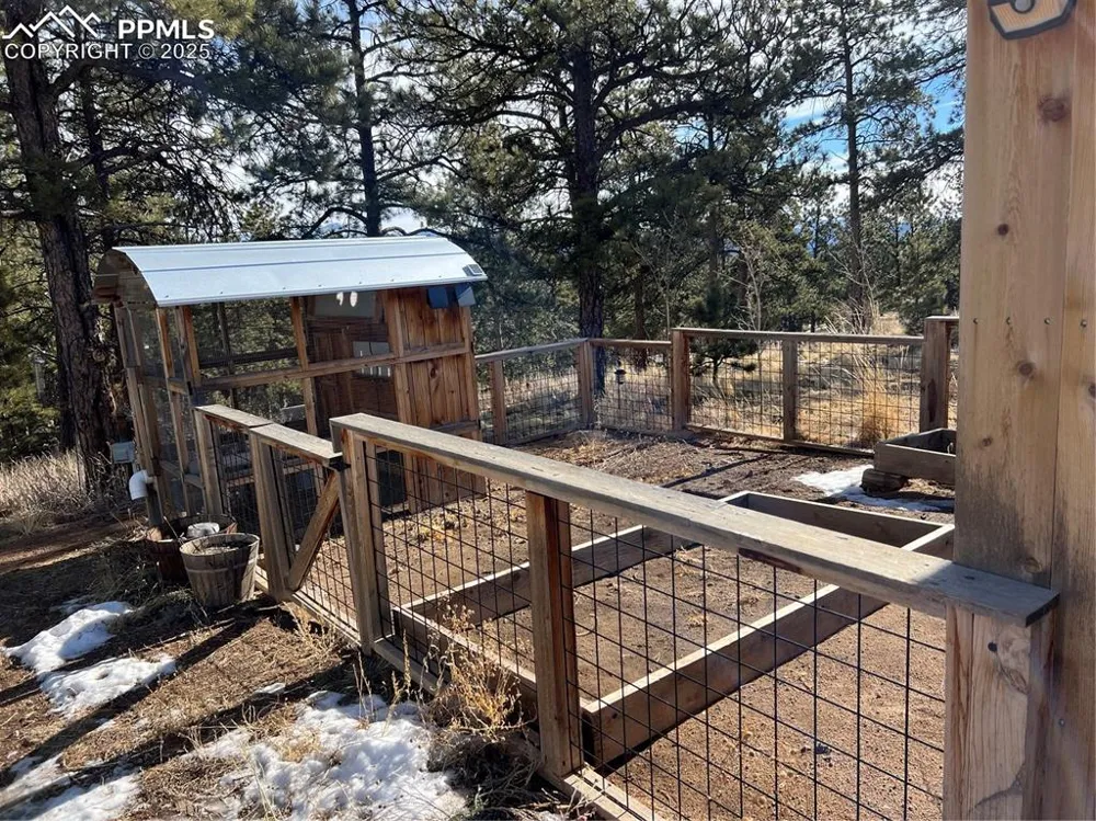 254 E Cobb Lane Guffey, CO 80820
