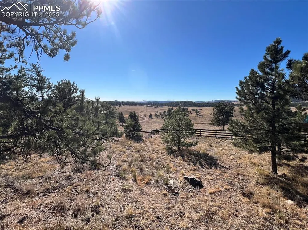 254 E Cobb Lane Guffey, CO 80820