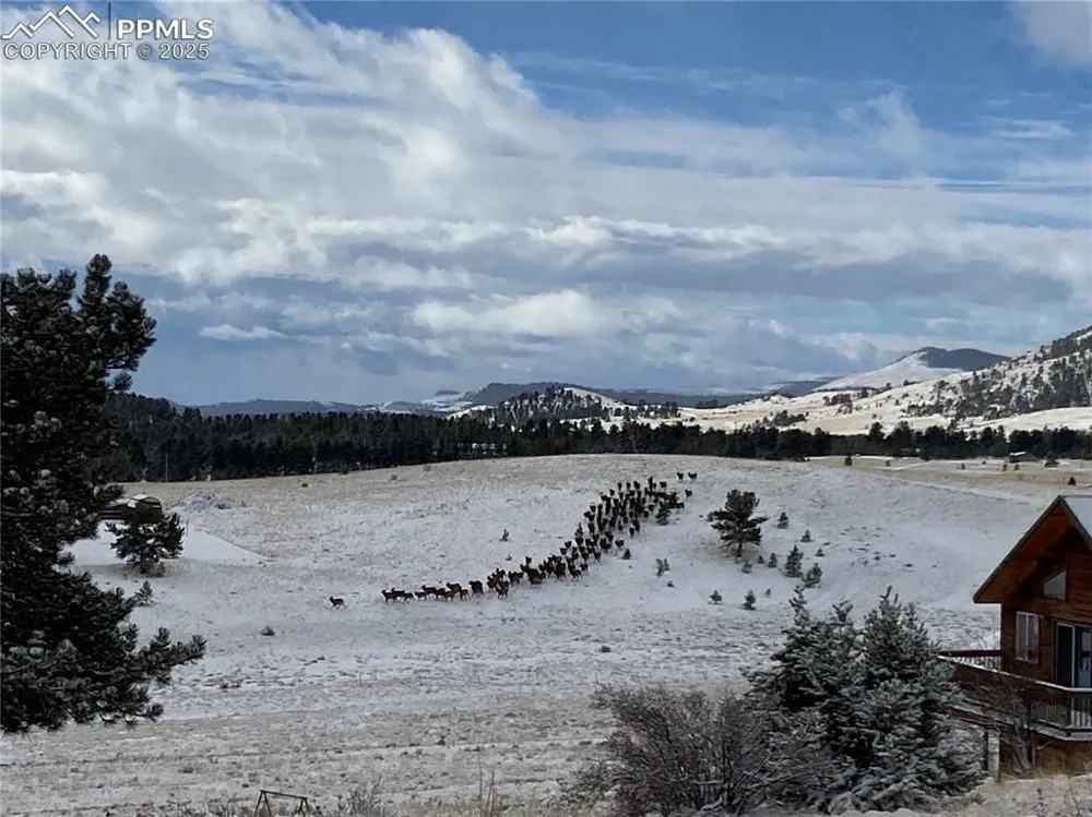 254 E Cobb Lane Guffey, CO 80820