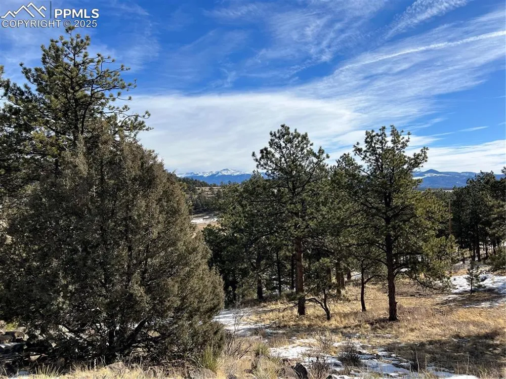 254 E Cobb Lane Guffey, CO 80820