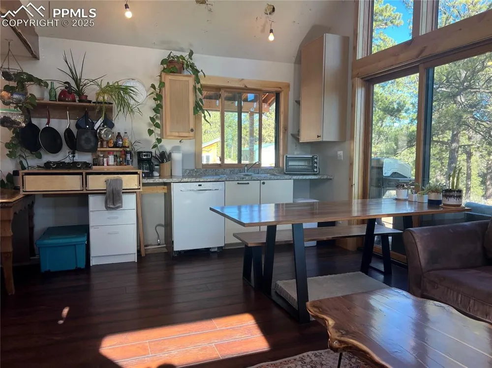 254 E Cobb Lane Guffey, CO 80820