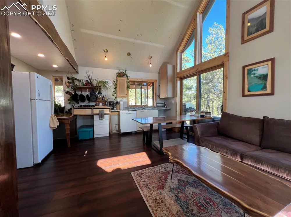 254 E Cobb Lane Guffey, CO 80820