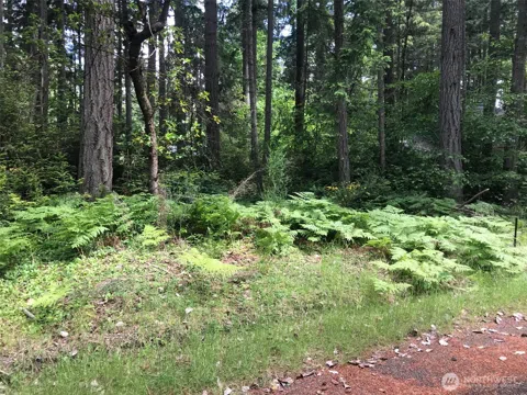 11205 110th Street